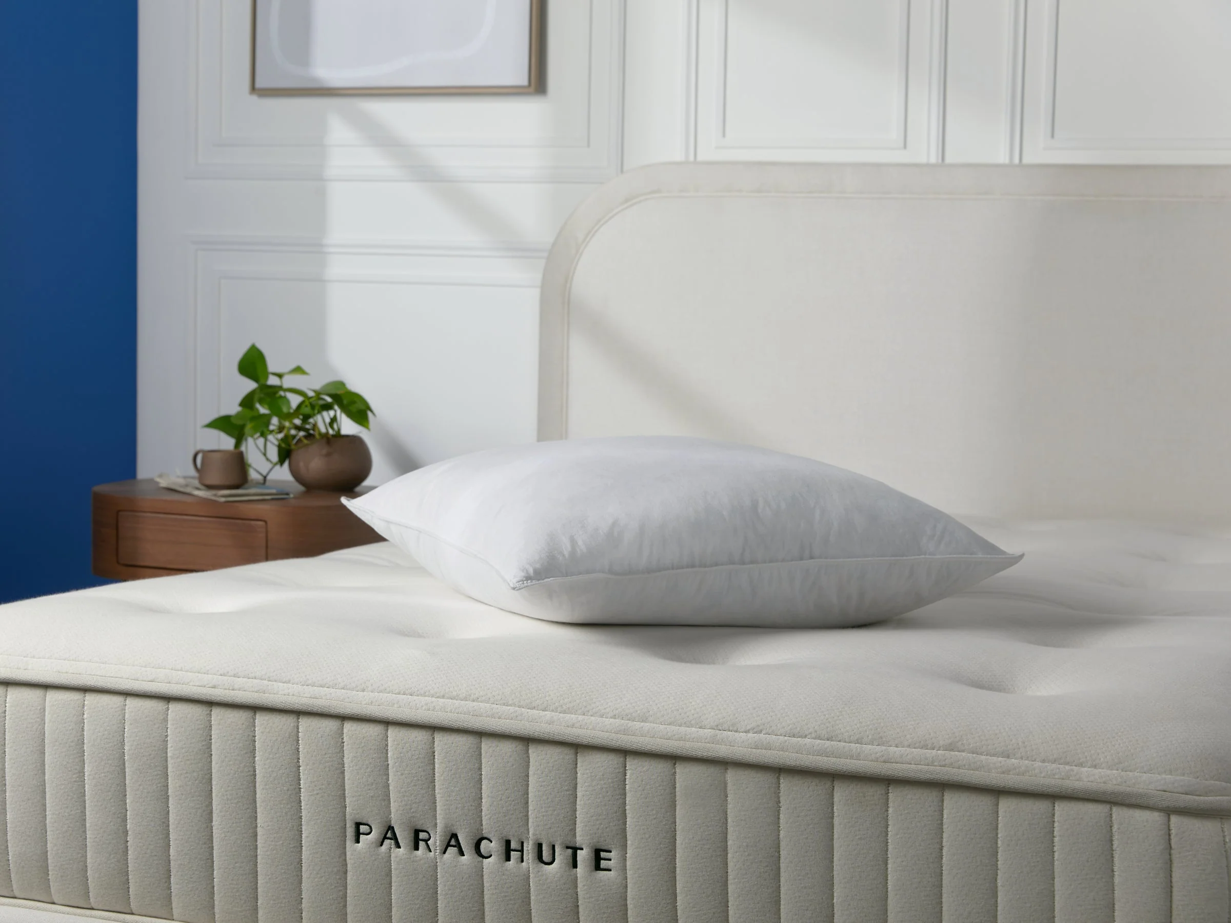 Feather Euro Pillow Insert - Image 2